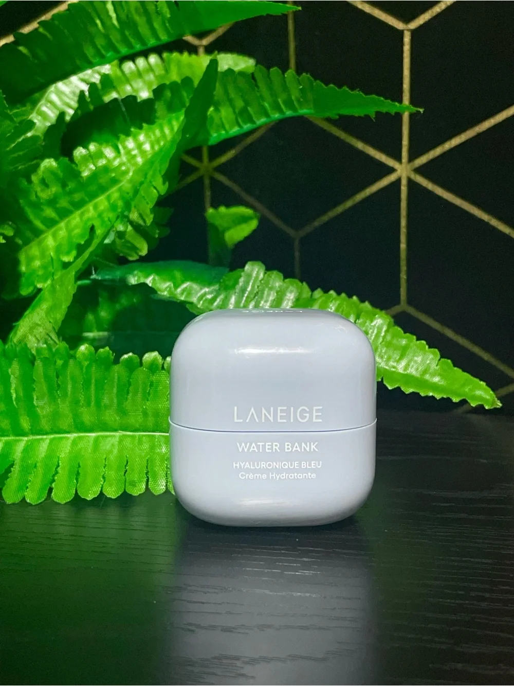 Laneige Water Bank Hyaluronic Bleu Moisturizing Cream